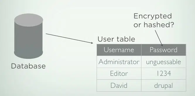 Website content security policy