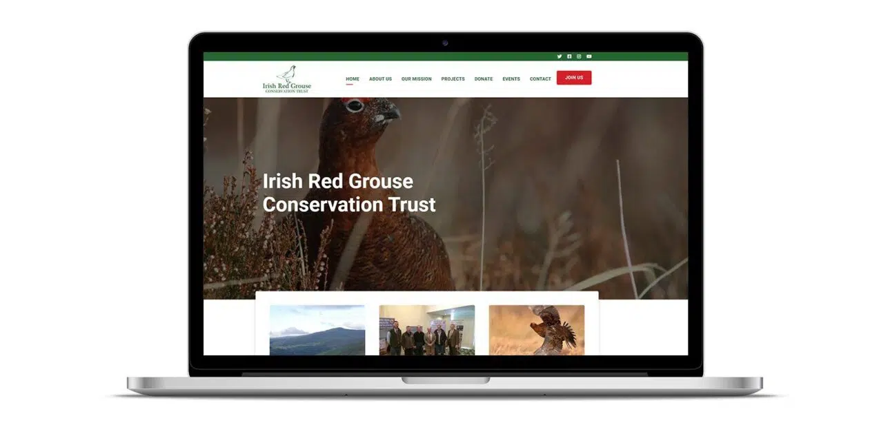 Irish red grouse conservation trust