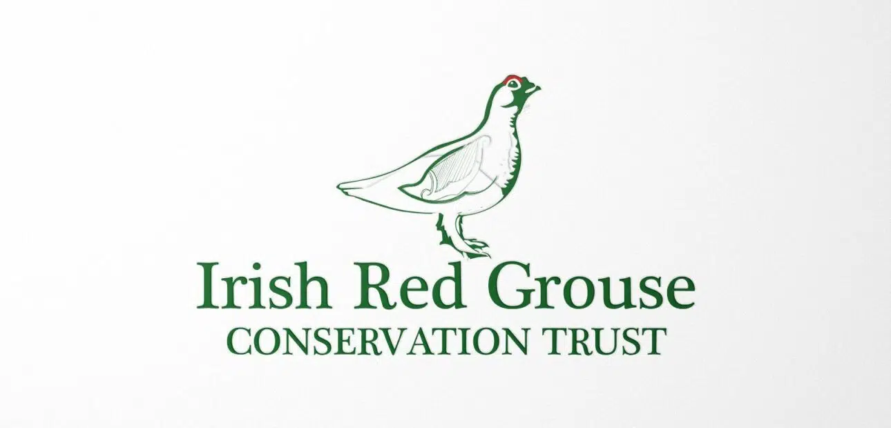 Irish red grouse conservation trust