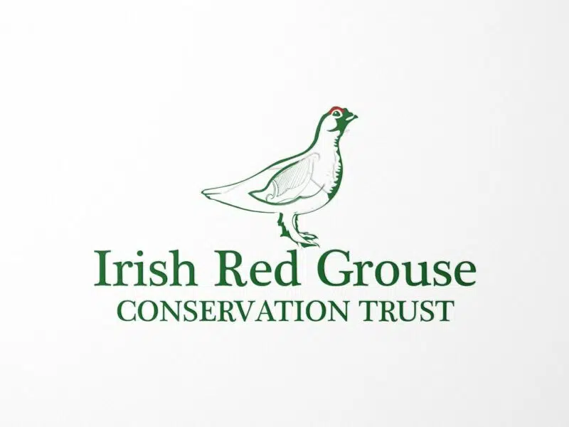 Irish red grouse conservation trust